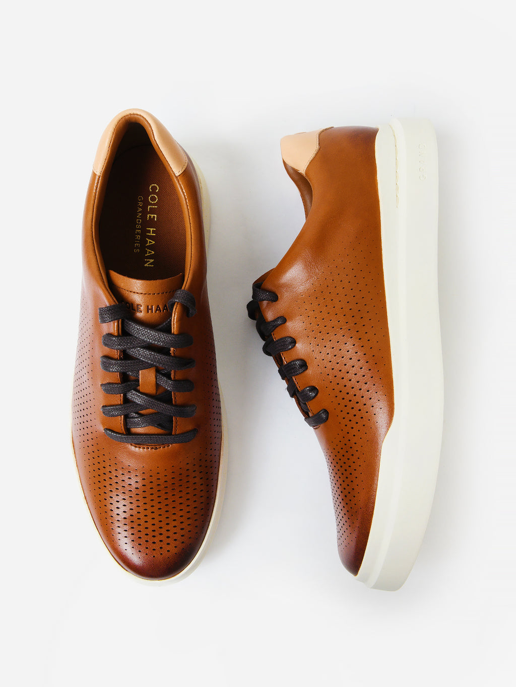 C31218xBRITISHTANIVORY-alt2