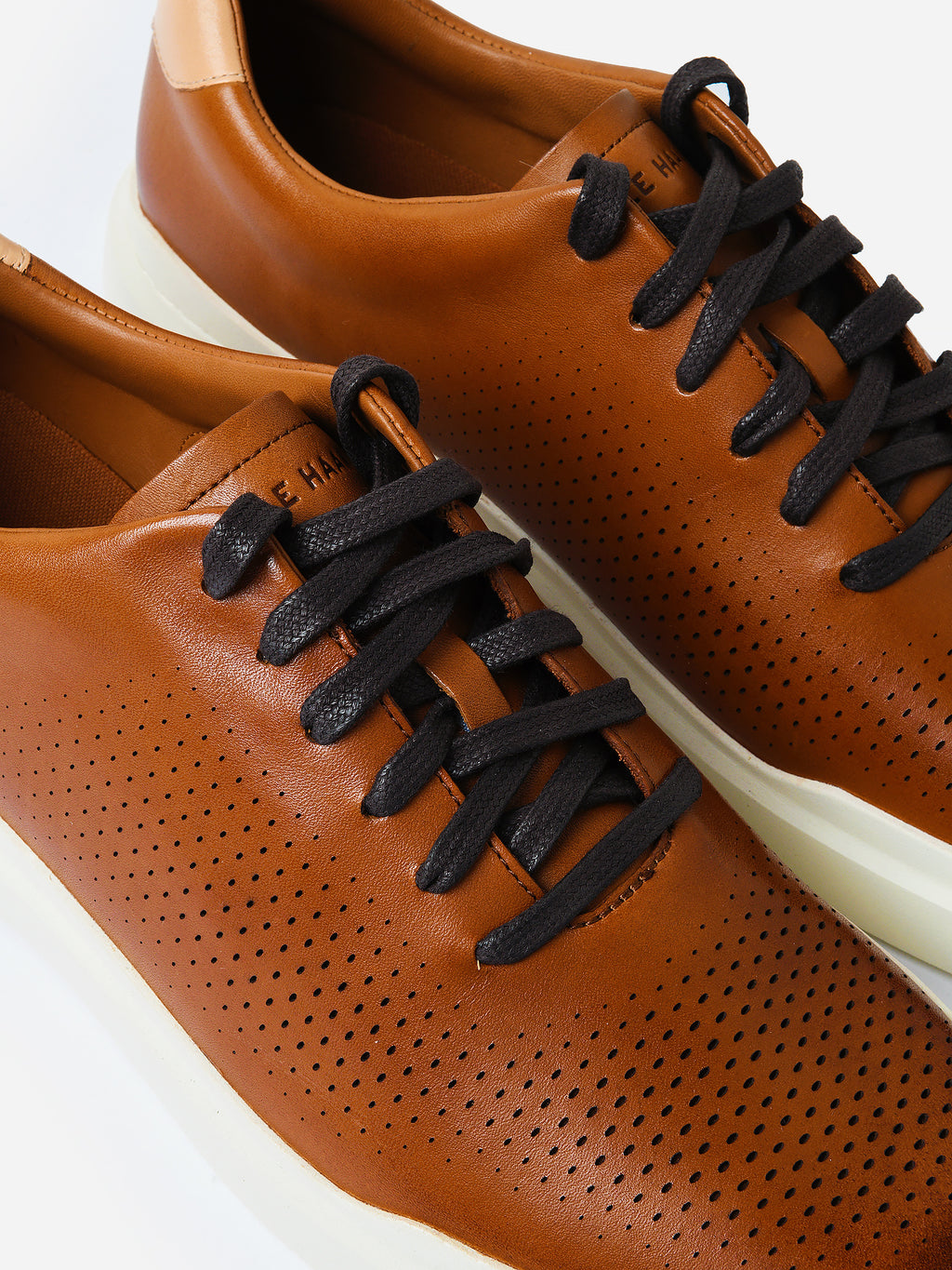 C31218xBRITISHTANIVORY-alt4