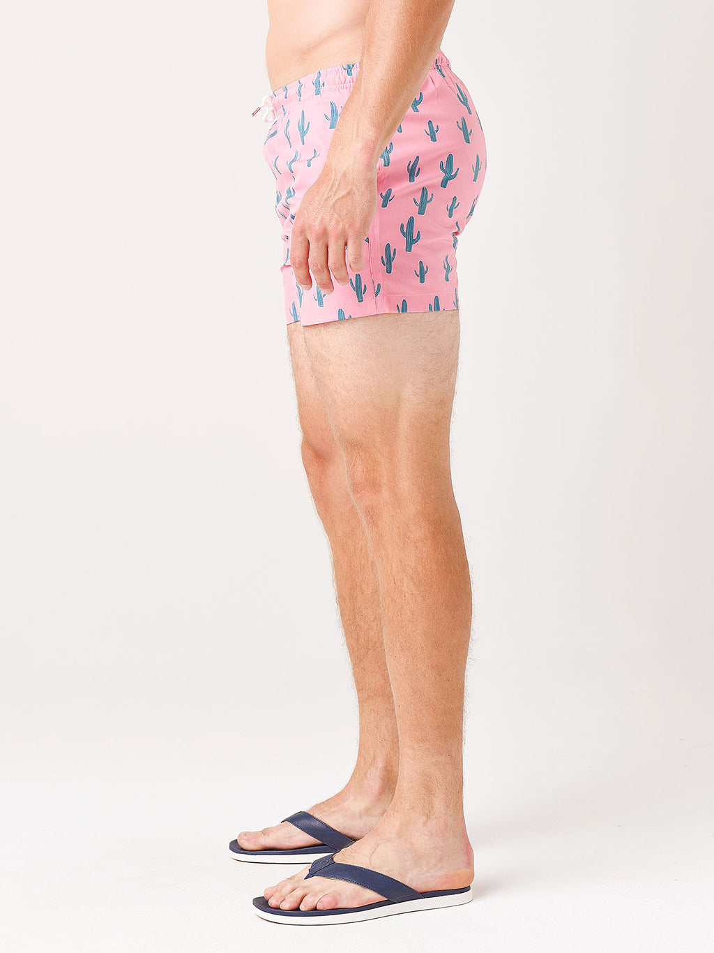CACTUS2.0xPINK-alt2