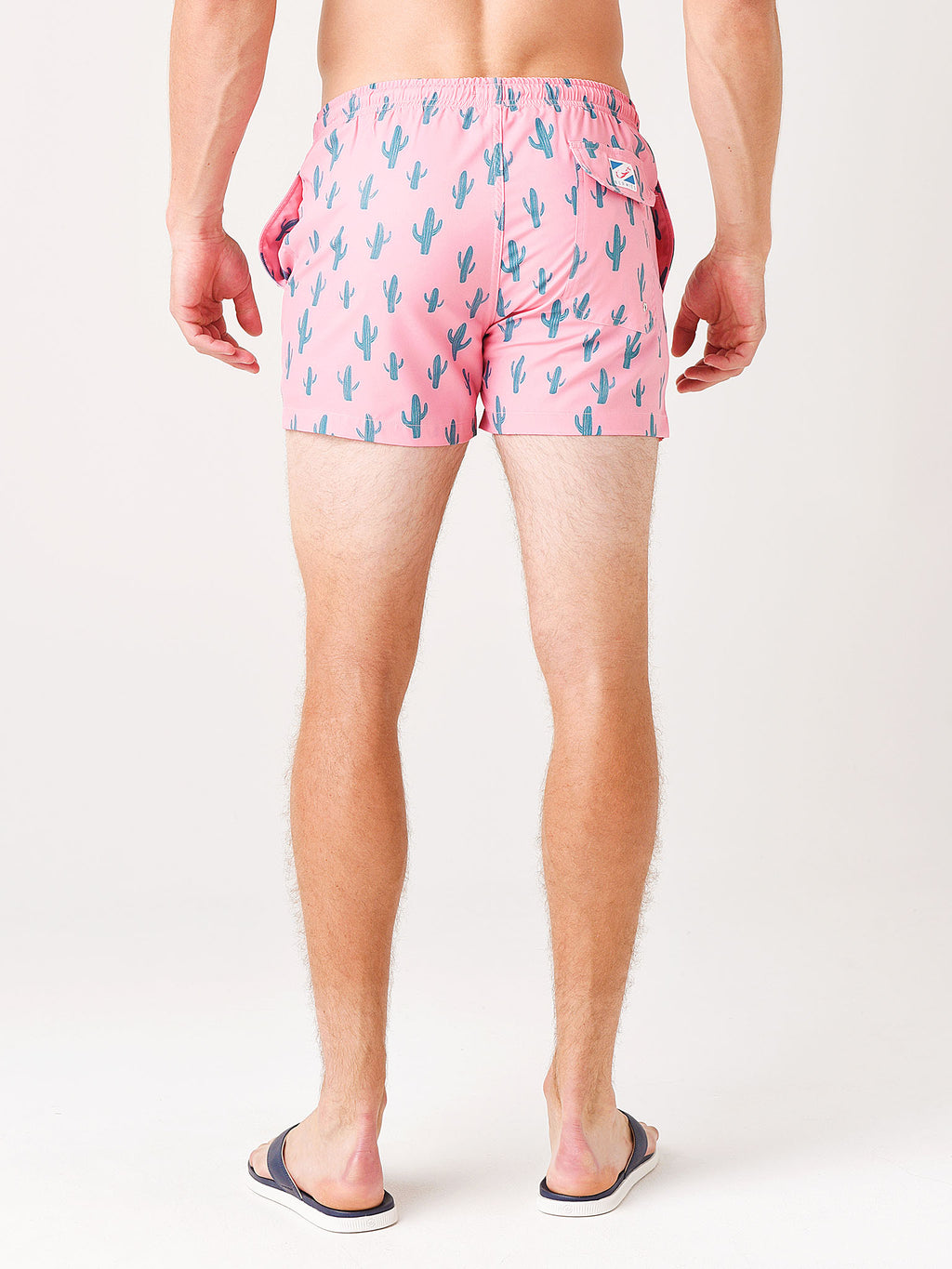 CACTUS2.0xPINK-alt3