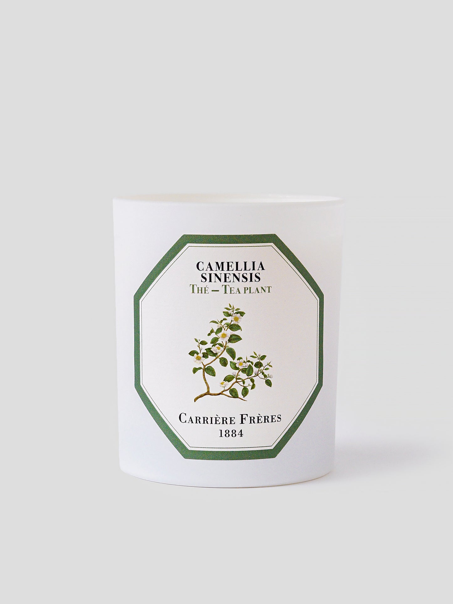 CAME/13/CARxORANGEBLOSSOM-alt1