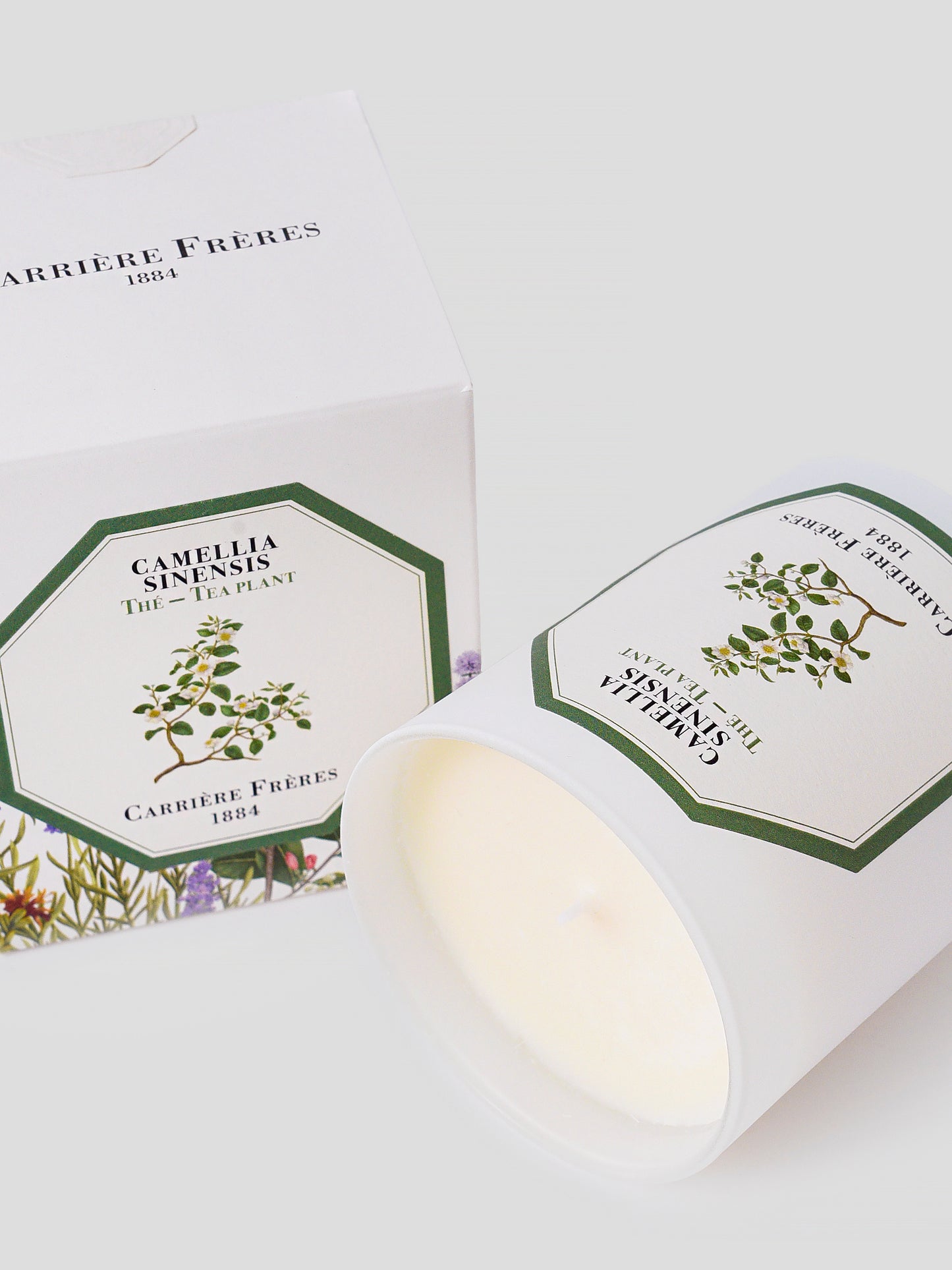 Carriere Freres Tea Plant Candle - Saint Bernard