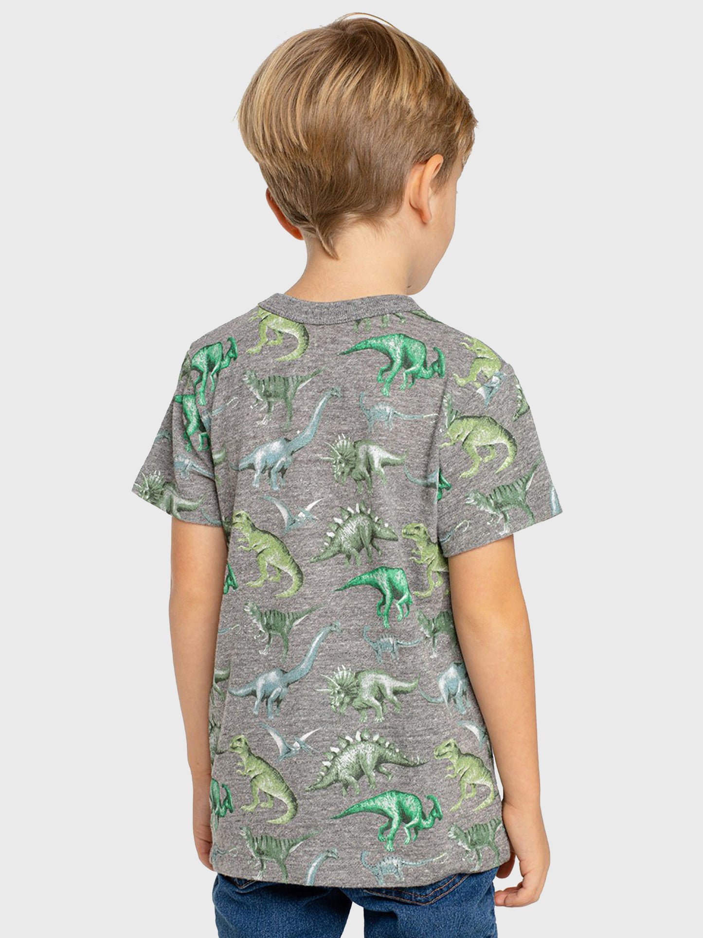 CB1013-CHK1888xSTREAKYGREY-alt1