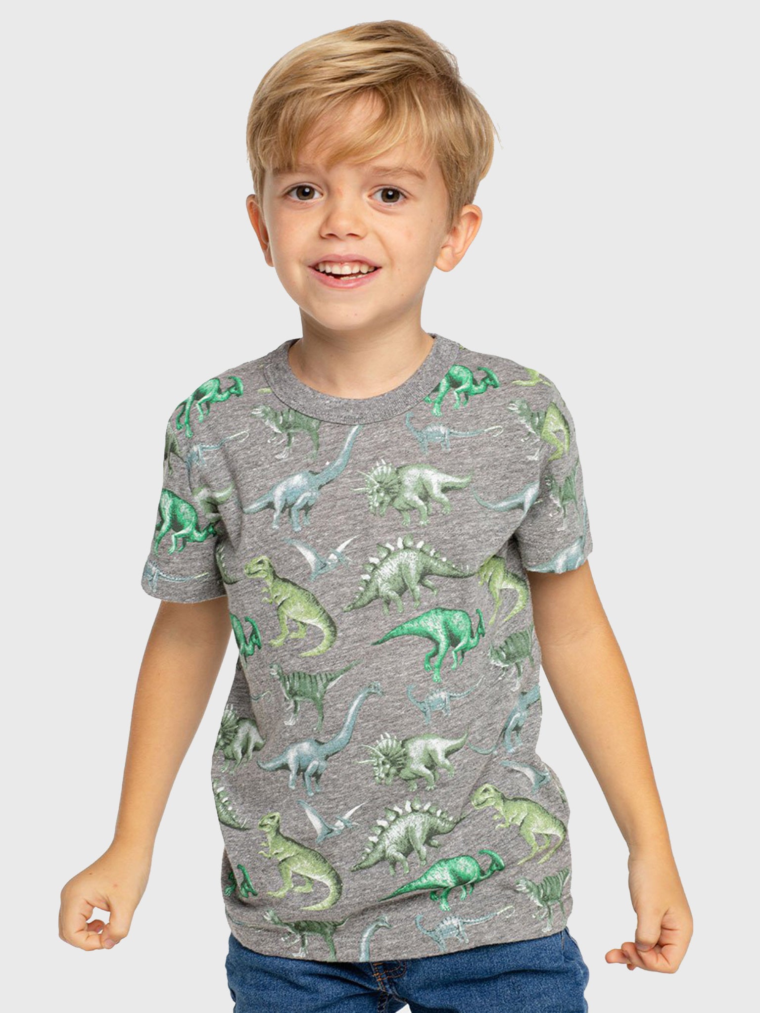 Chaser Boys' Triblend Dino Crew Neck Tee - Saint Bernard