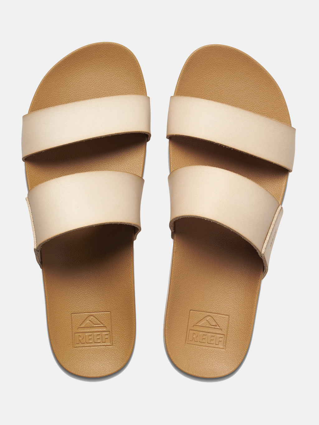 CI4657xSEASHELL-alt1