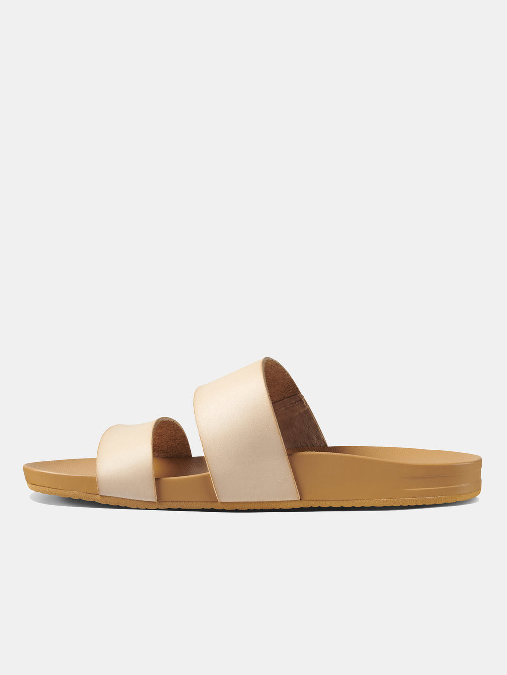 CI4657xSEASHELL-alt2