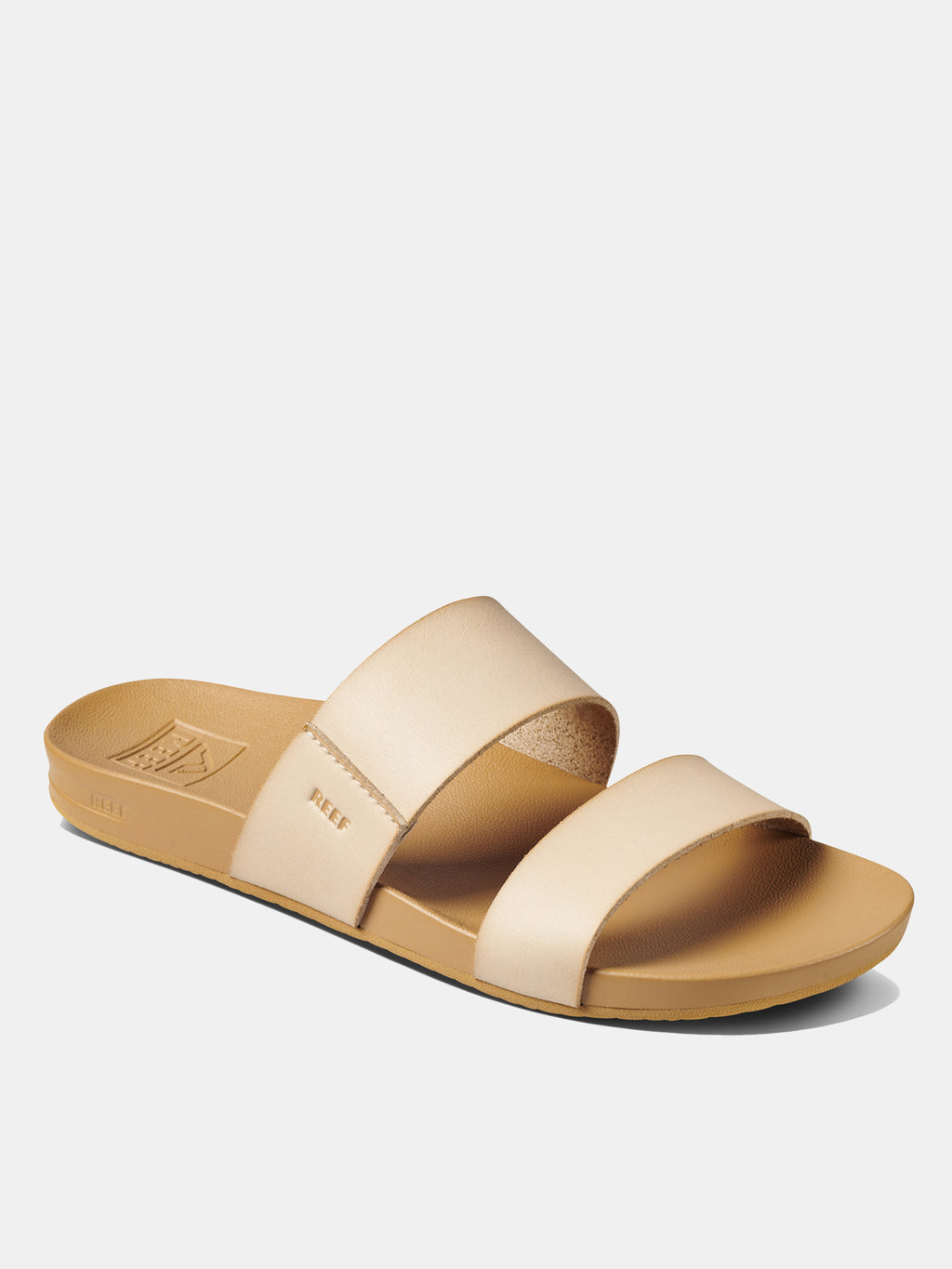 CI4657xSEASHELL-alt3