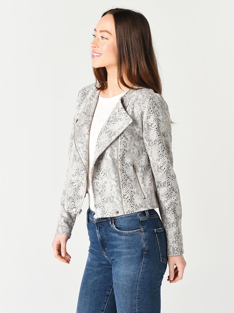 CK102072-alt1