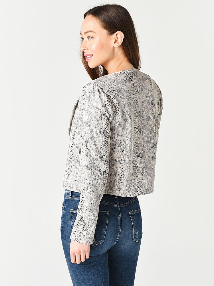 CK102072-alt2