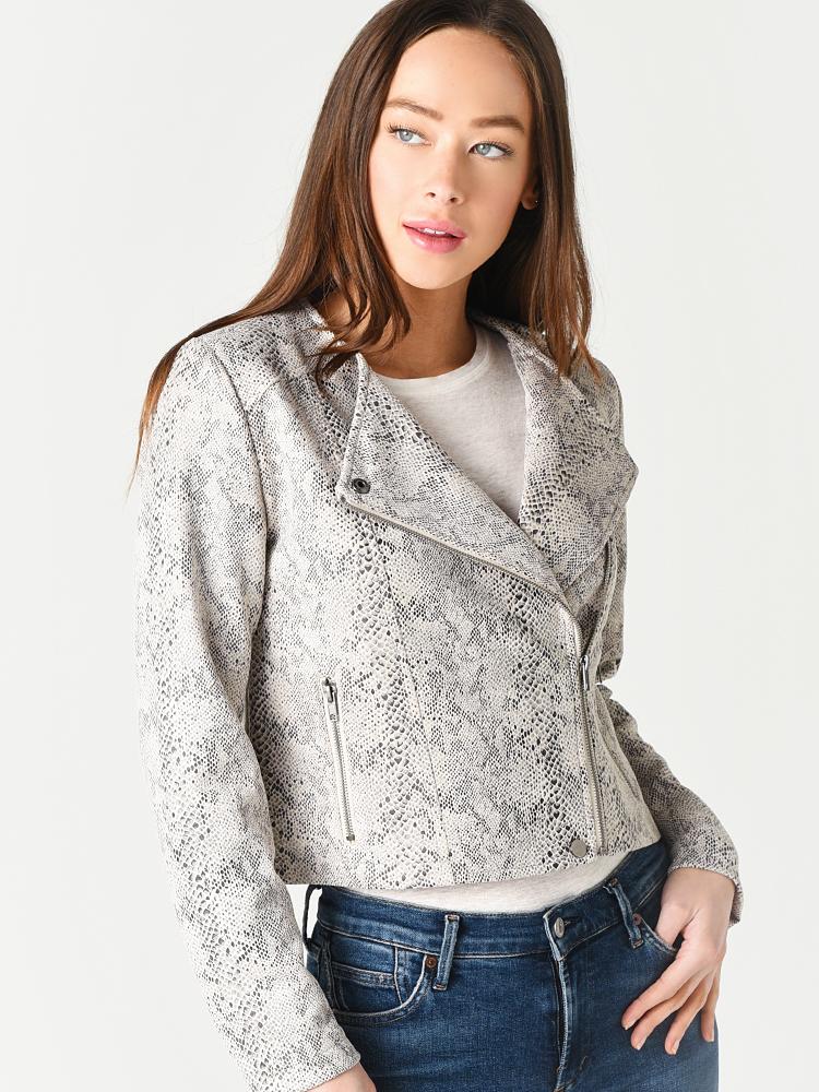 CK102072-alt4