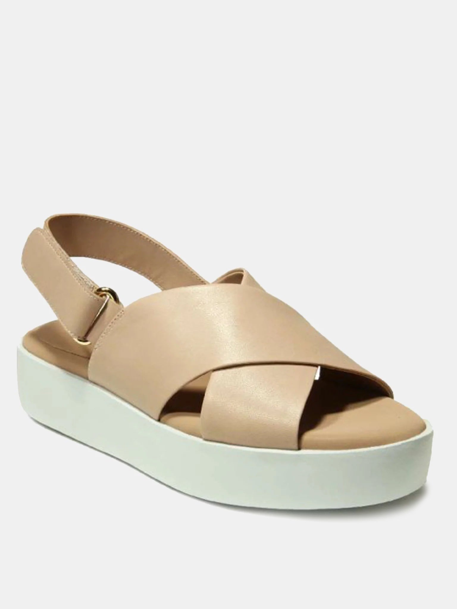 CLEADxBLUSHNAPPA-alt2