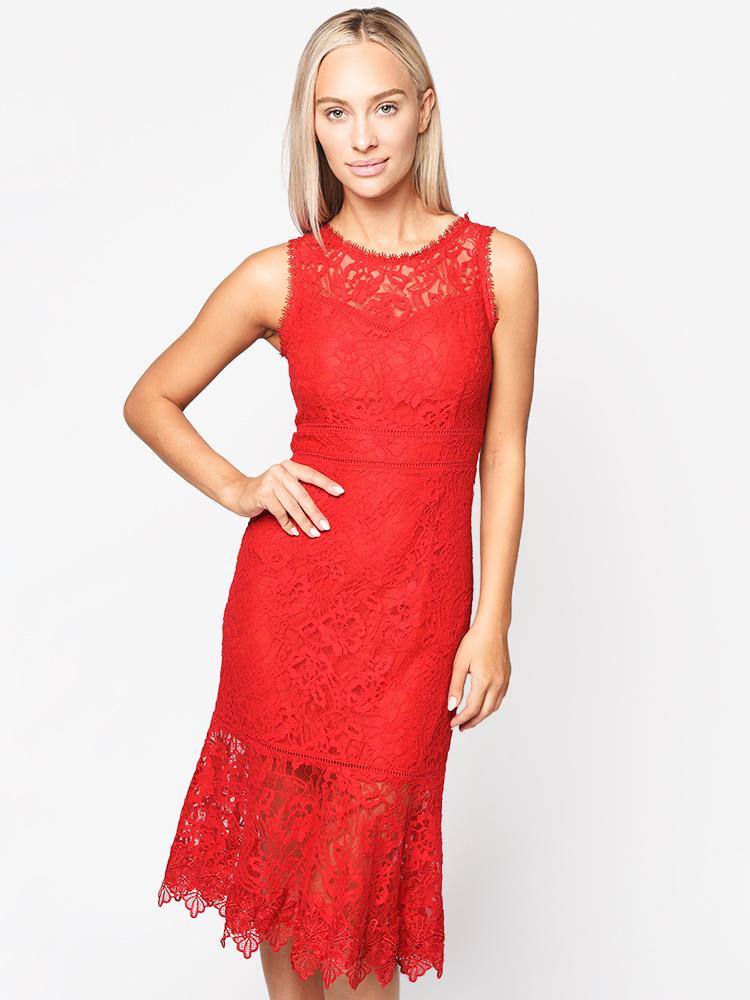 BB Dakota Women’s Hearing Sirens Lace Midi Dress - Saint Bernard