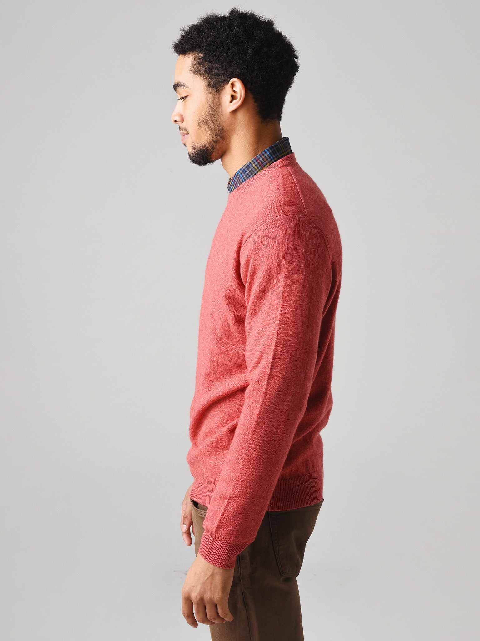 EP0832xDUSTYROSE-alt2