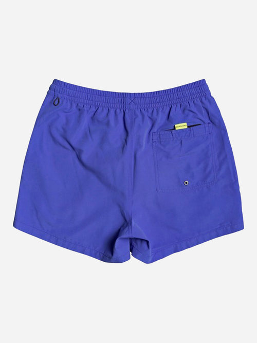 Quiksilver Men's Everyday 15" Volley Trunk