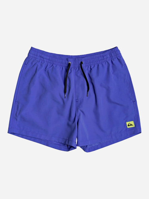 Quiksilver Men's Everyday 15" Volley Trunk