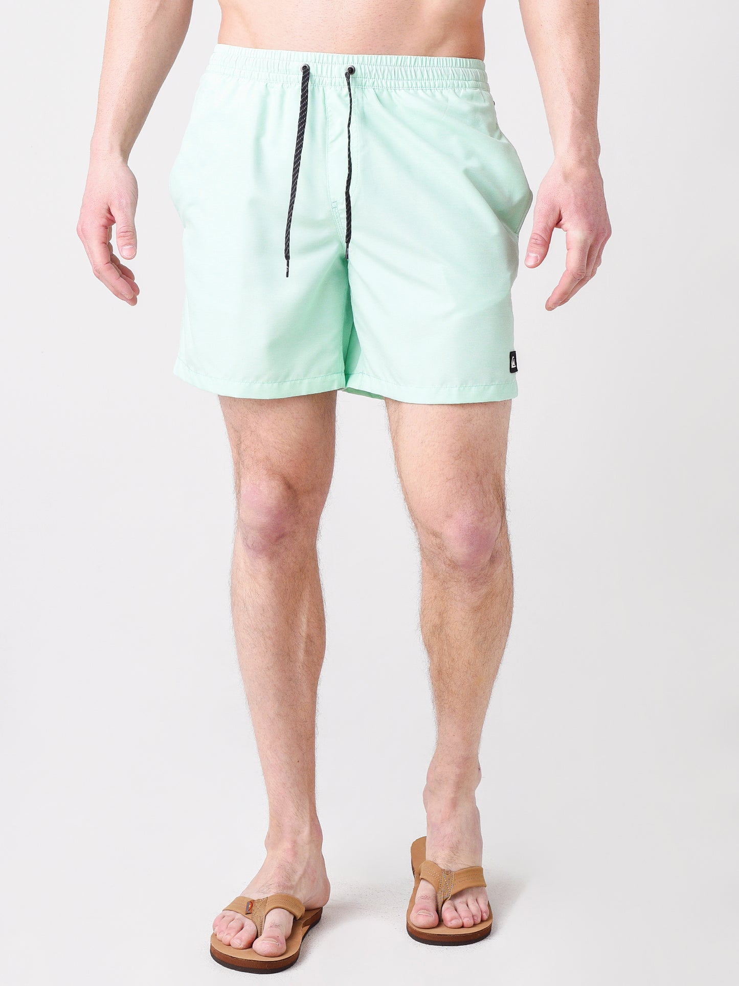 Quiksilver Men's Everyday 17" Volley Swim Trunk - Saint Bernard