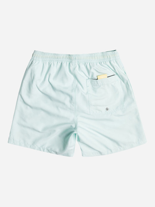 Quiksilver Men's Everyday 17" Volley Trunk