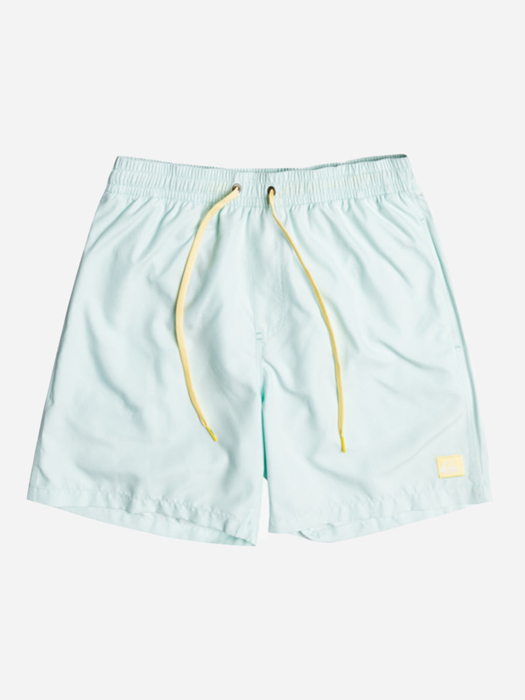Quiksilver Men's Everyday 17" Volley Trunk - Saint Bernard