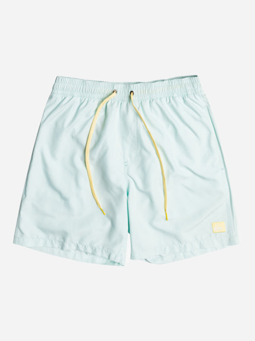 Quiksilver Men's Everyday 17" Volley Trunk
