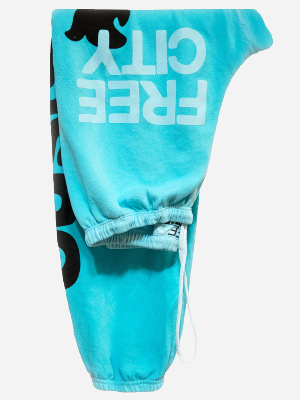 FCBSWP063xBLUELIGHTRABBIT-alt1