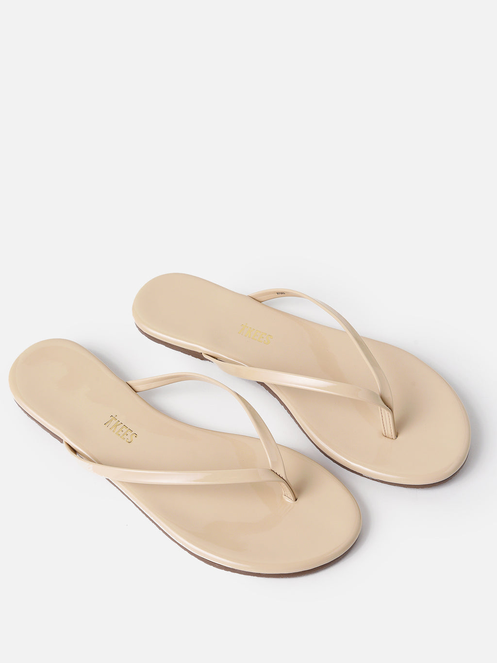 GFO-01xSEASHELL-alt3