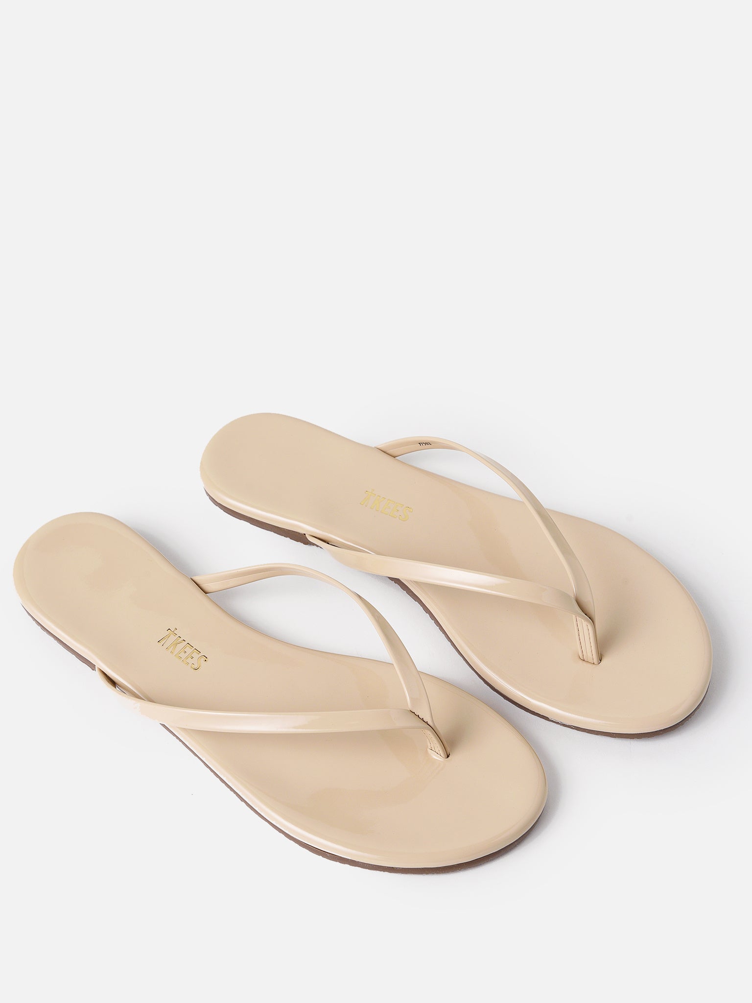 GFO-01xSEASHELL-alt3