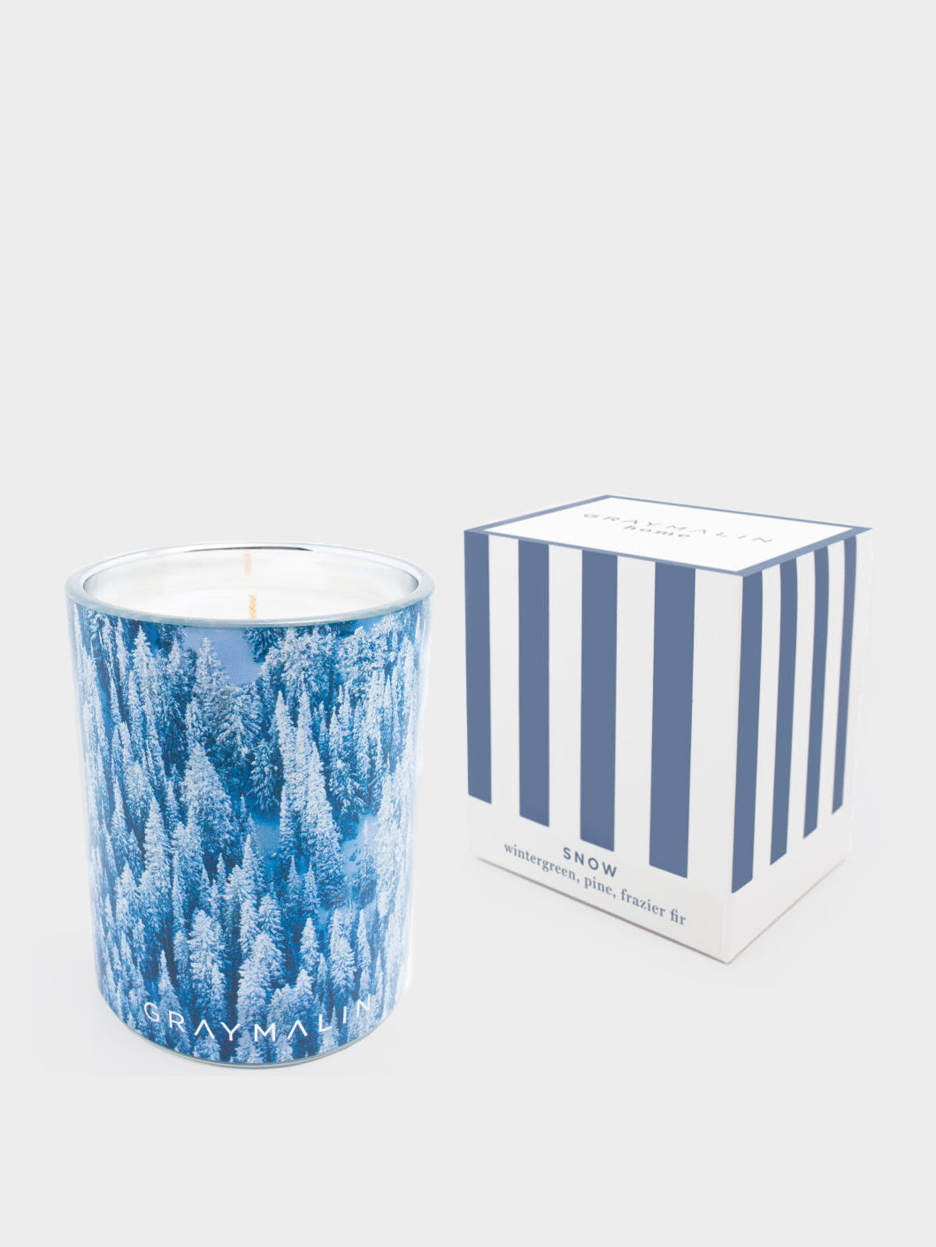 Gray Malin The Snow Candle - Saint Bernard