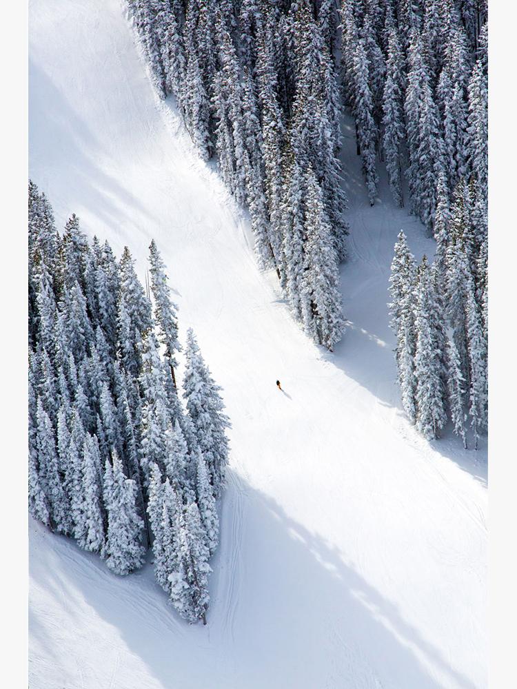Gray Malin Aspen Lone Skier Mini Print