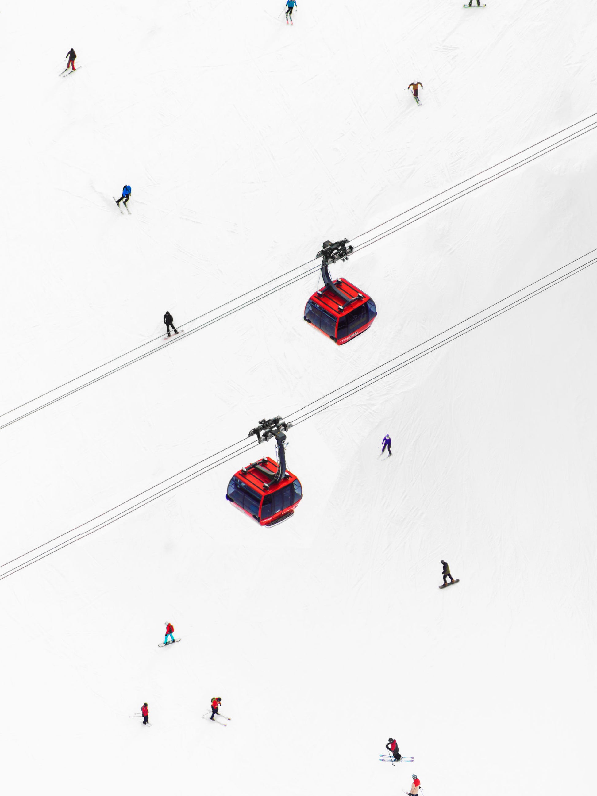 Gray Malin Peak to Peak Gondolas Vertical Mini Print - Saint Bernard