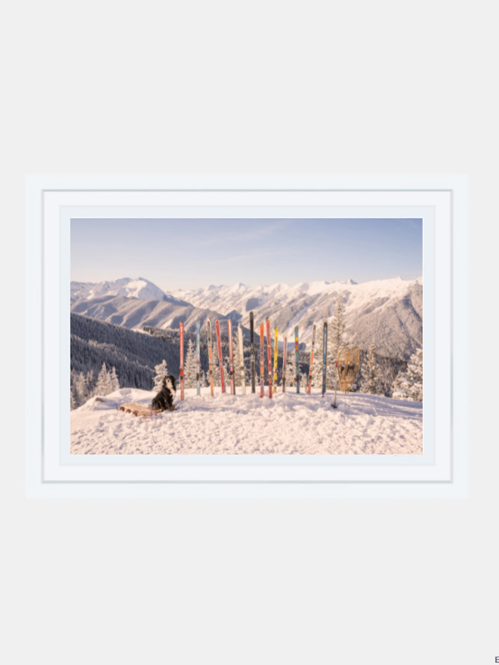 Gray Malin Aspen Mountain Vista Mini Print - Saint Bernard