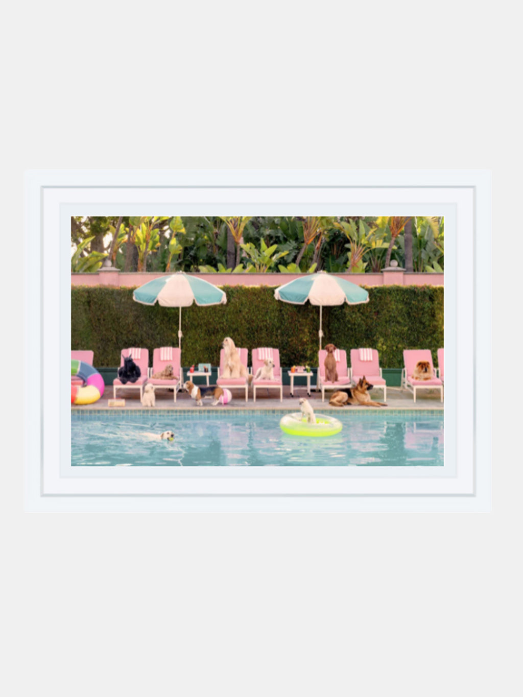 Gray Malin Pool Day, The Beverly Hills Hotel Mini Print - Saint Bernard