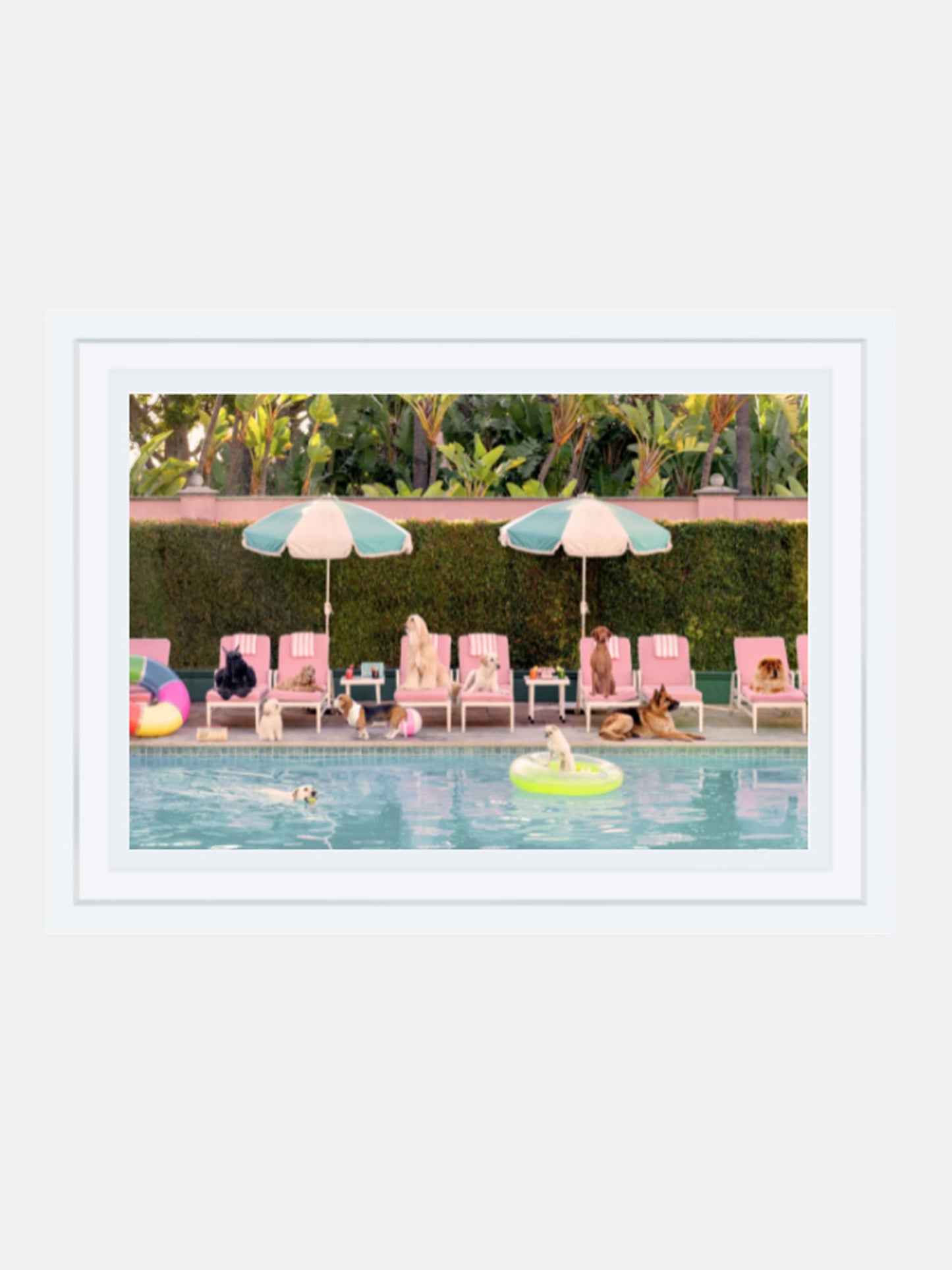 Gray Malin Pool Day, The Beverly Hills Hotel Mini Print