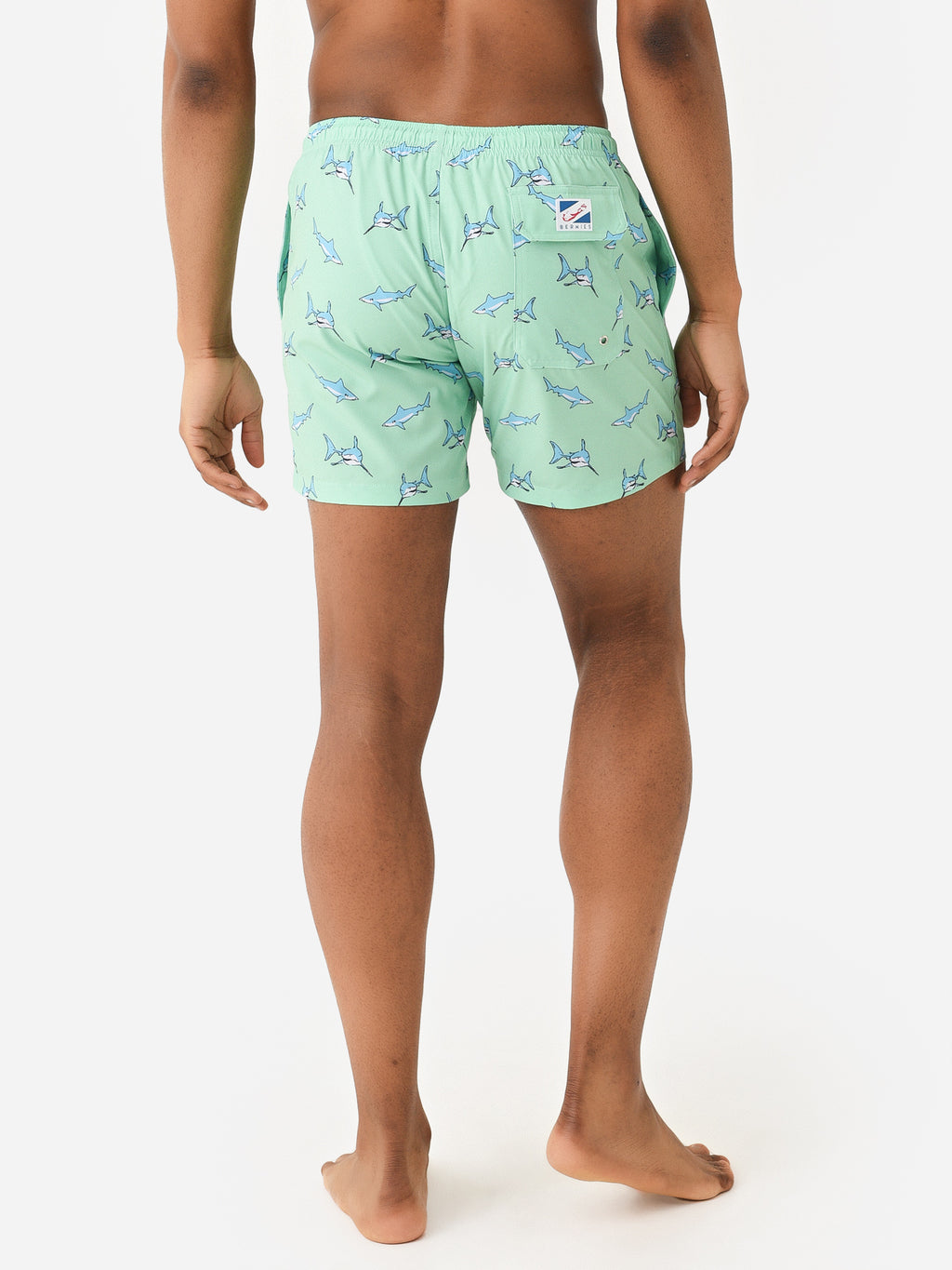 GREENSHARK-CLAxGREENSHARK-alt3