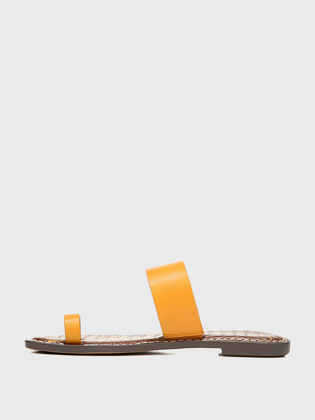H0882L1700xGOLDENROD-alt1