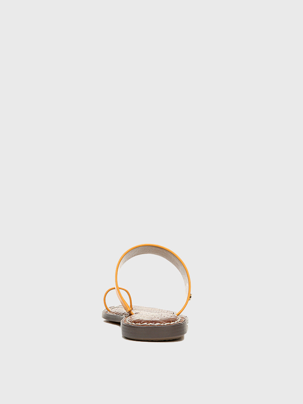 H0882L1700xGOLDENROD-alt2