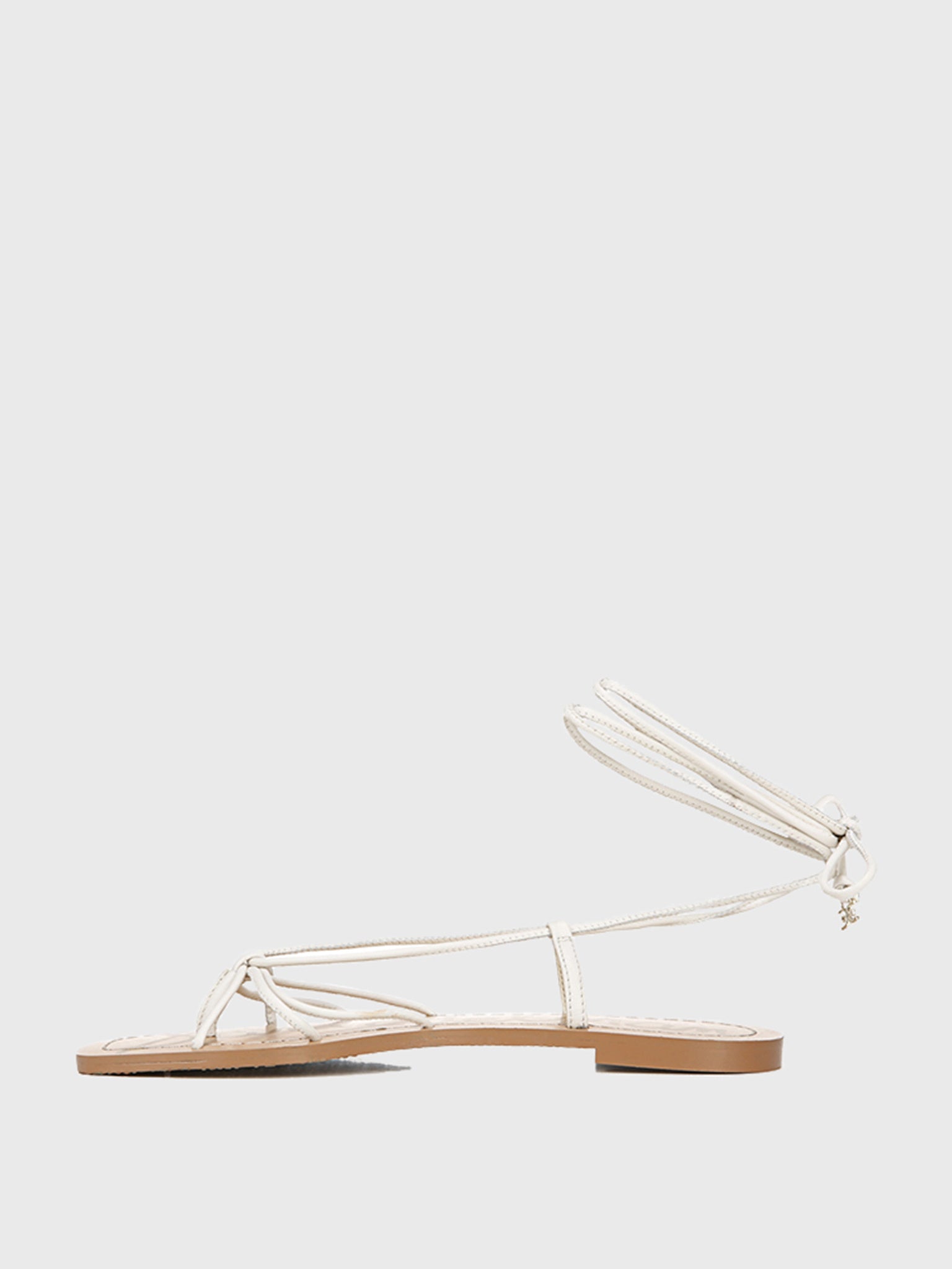 H1317L1100xMODERNIVORY-alt1