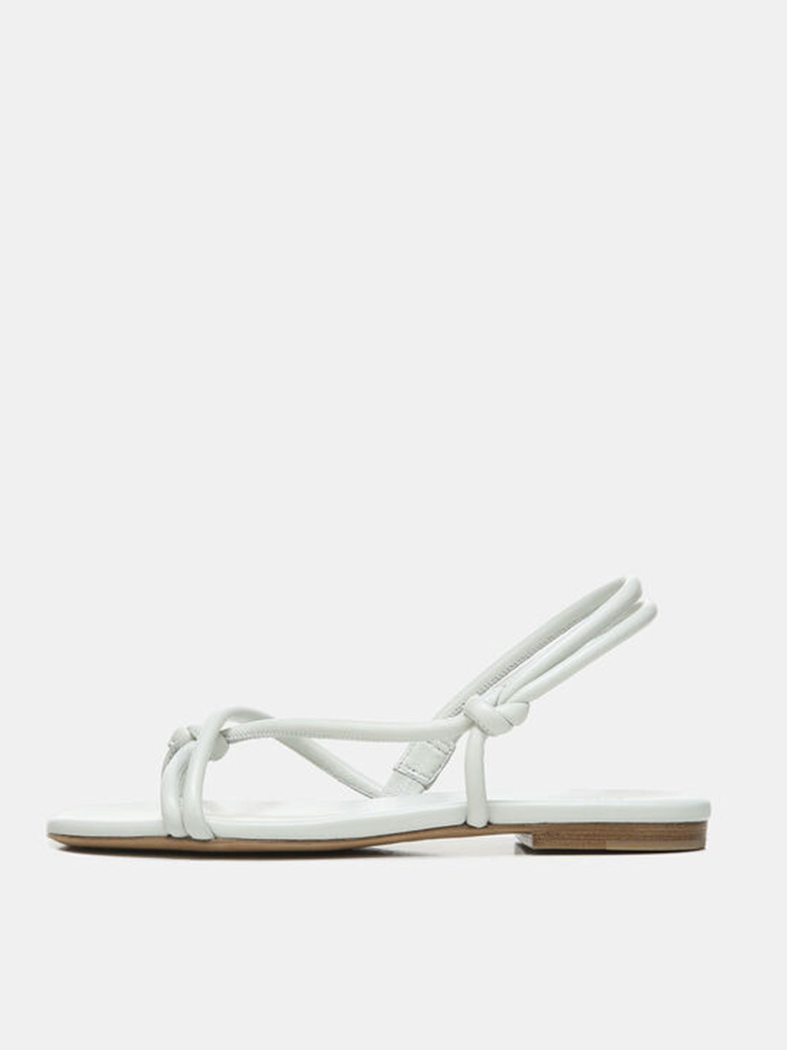 H5977L1020xCELERY-alt2