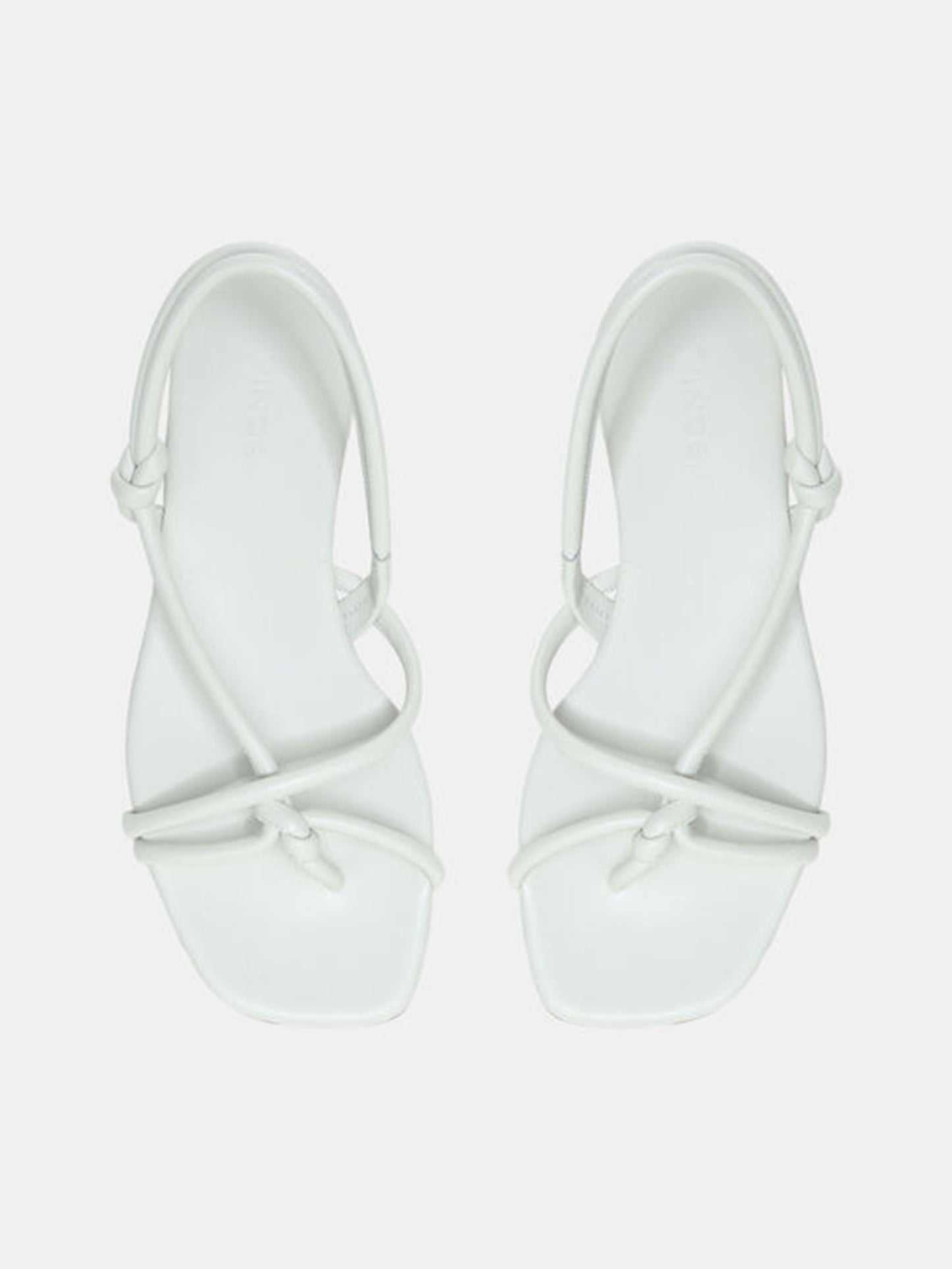 H5977L1020xCELERY-alt3