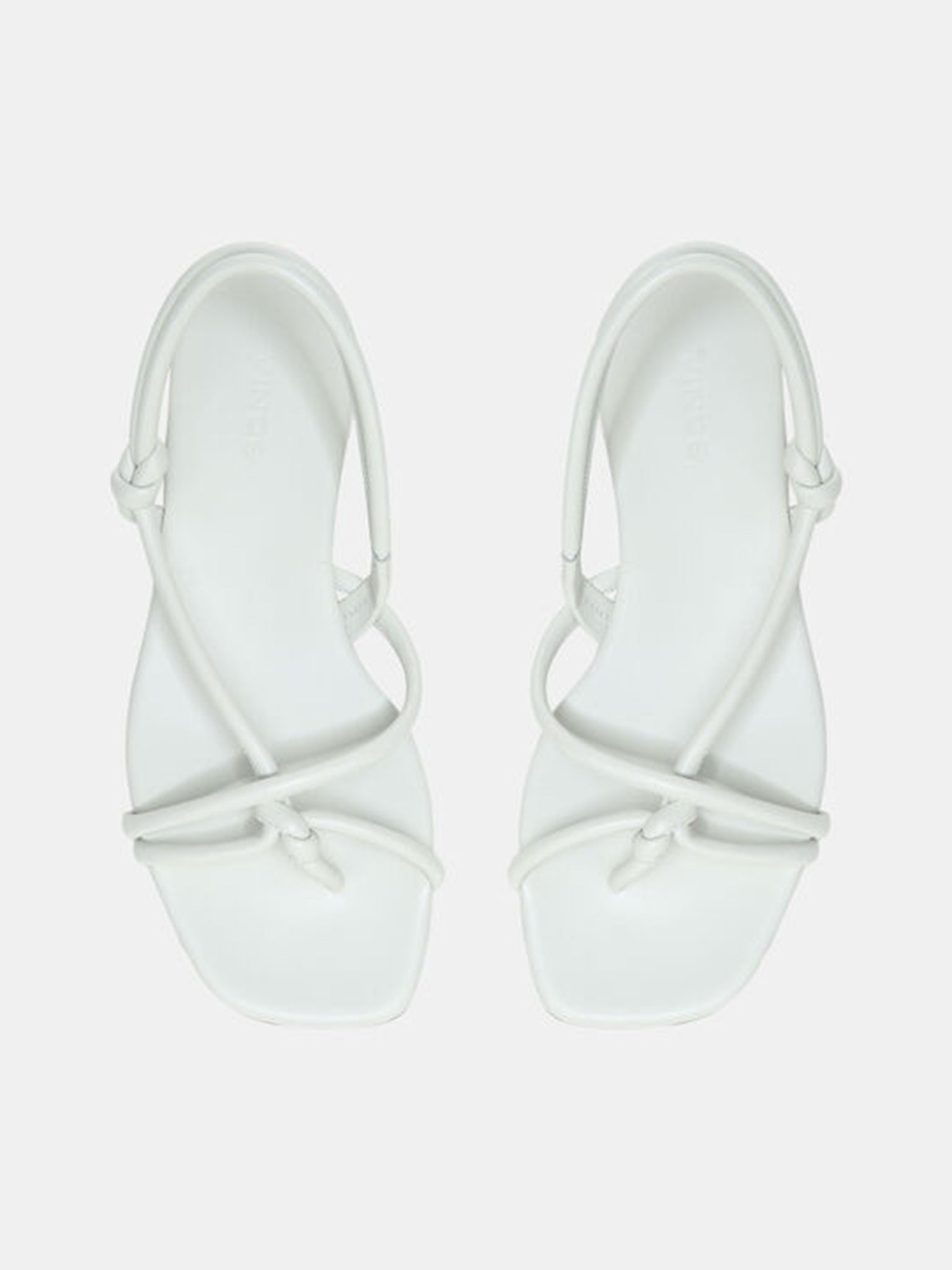 H5977L1020xCELERY-alt3