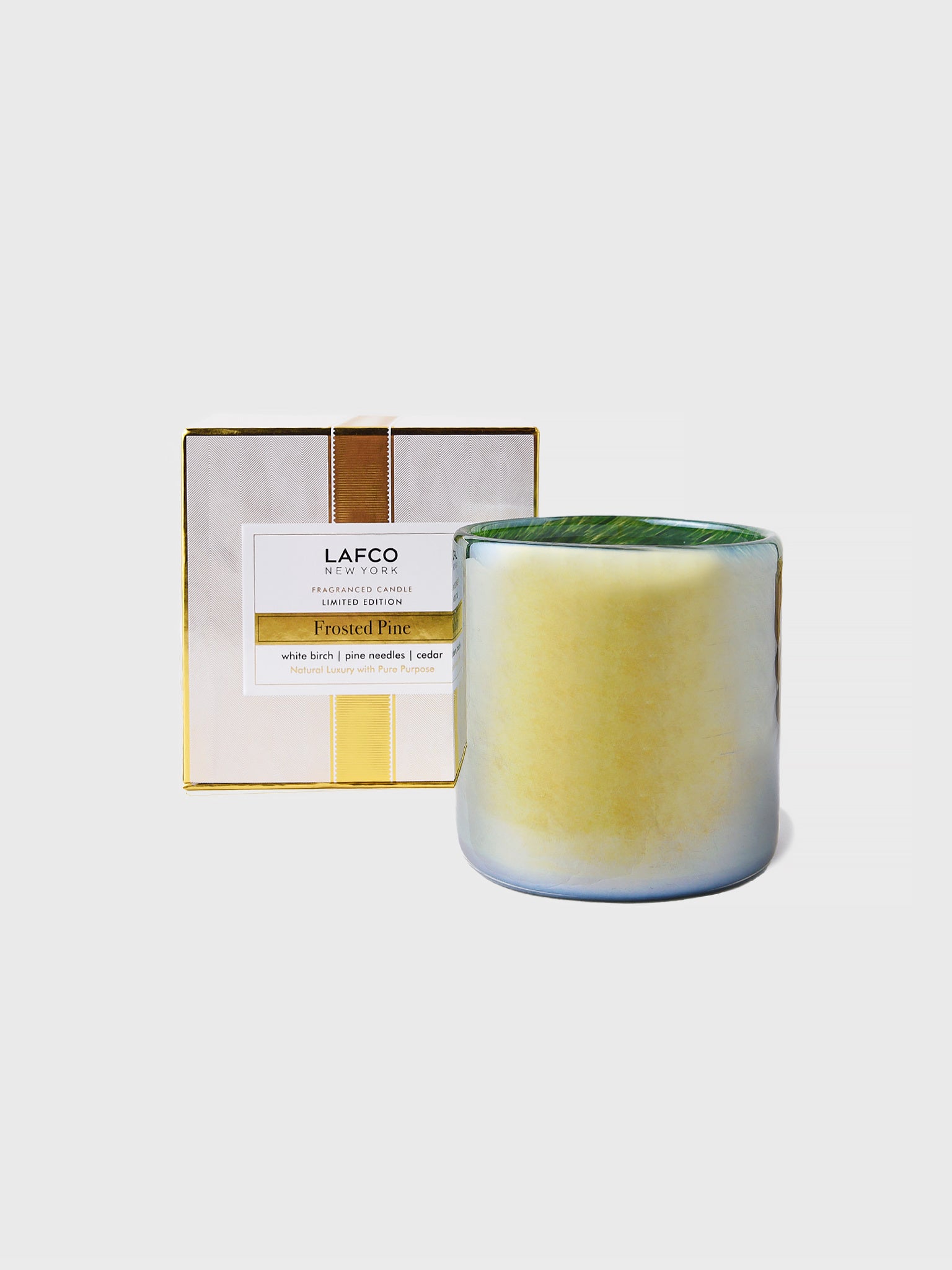 LAFCO Frosted Pine Signature Candle 15.5 OZ - Saint Bernard