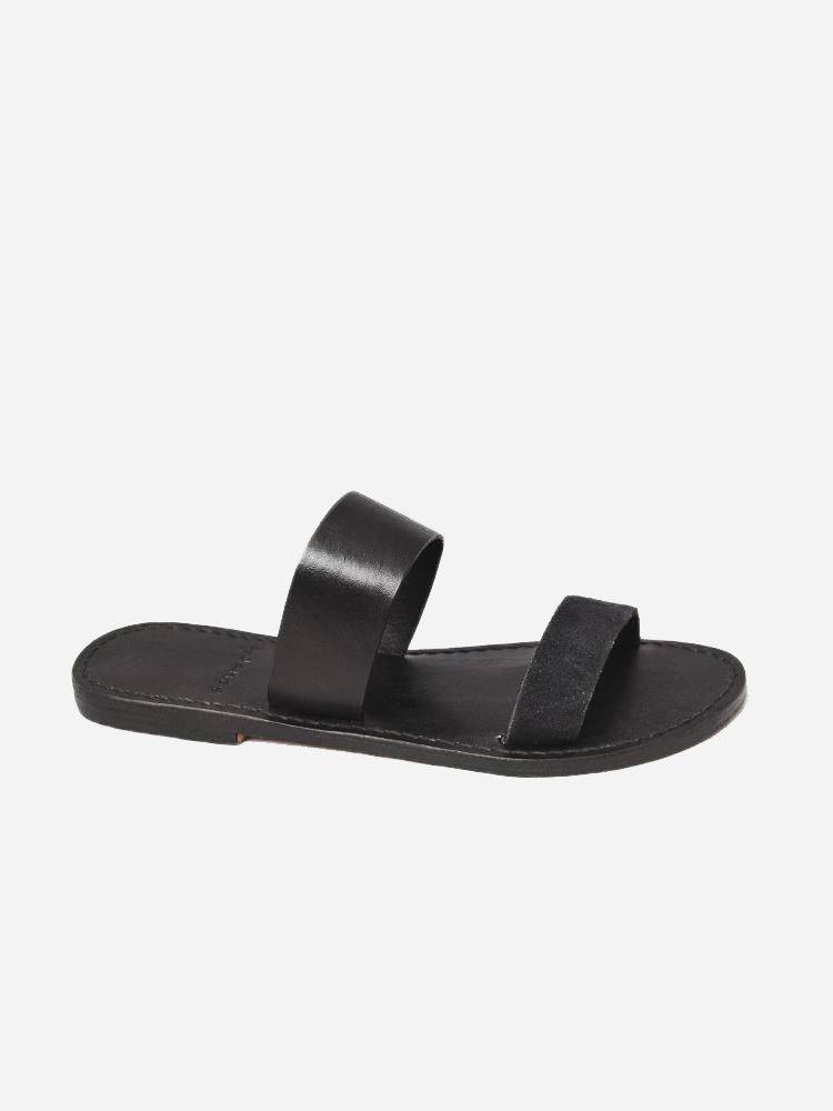 By James James Sandal - Saint Bernard