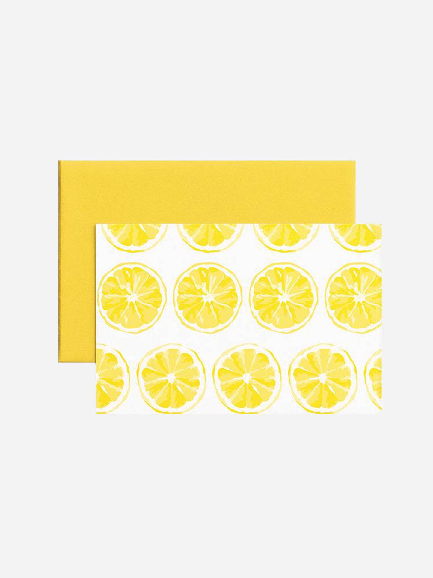 Katie Kime Citrus Sunrise 4x6 Folded Notecard - Saint Bernard