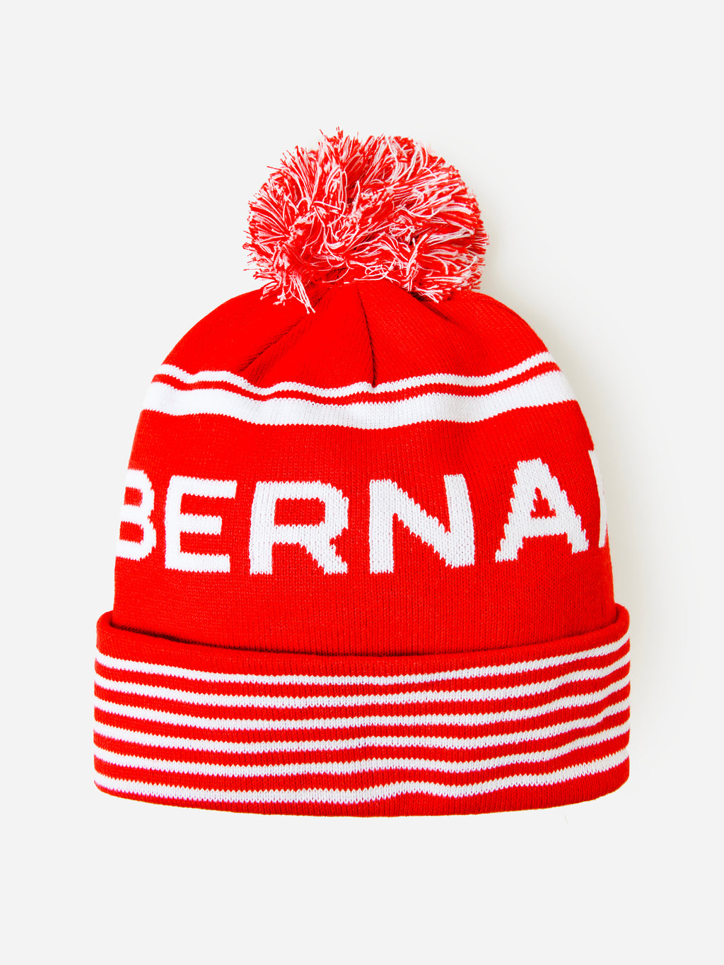 Saint Bernard Winter Beanie - Saint Bernard