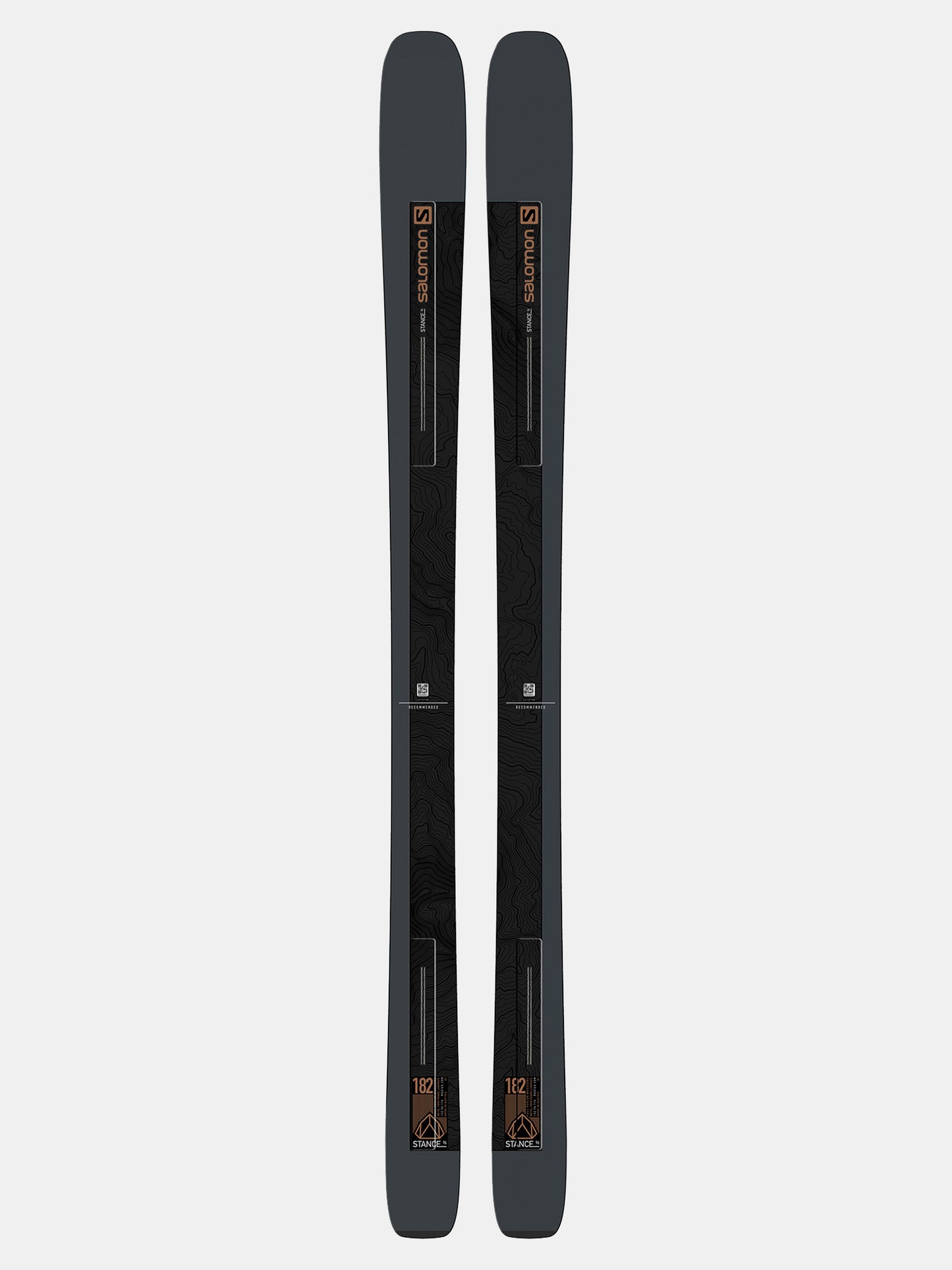 Salomon Stance 96 Ski 2021 - Saint Bernard