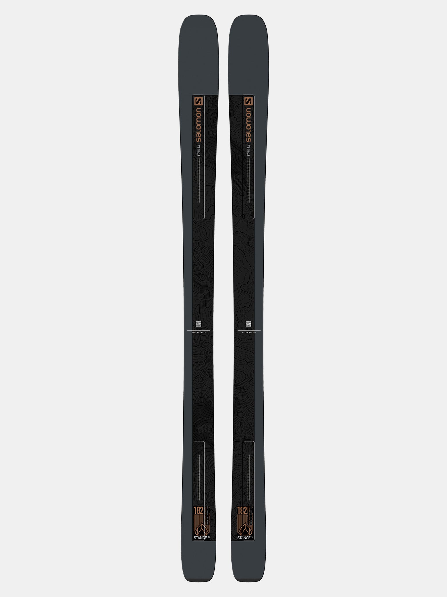 Salomon Stance 96 Ski 2021 - Saint Bernard