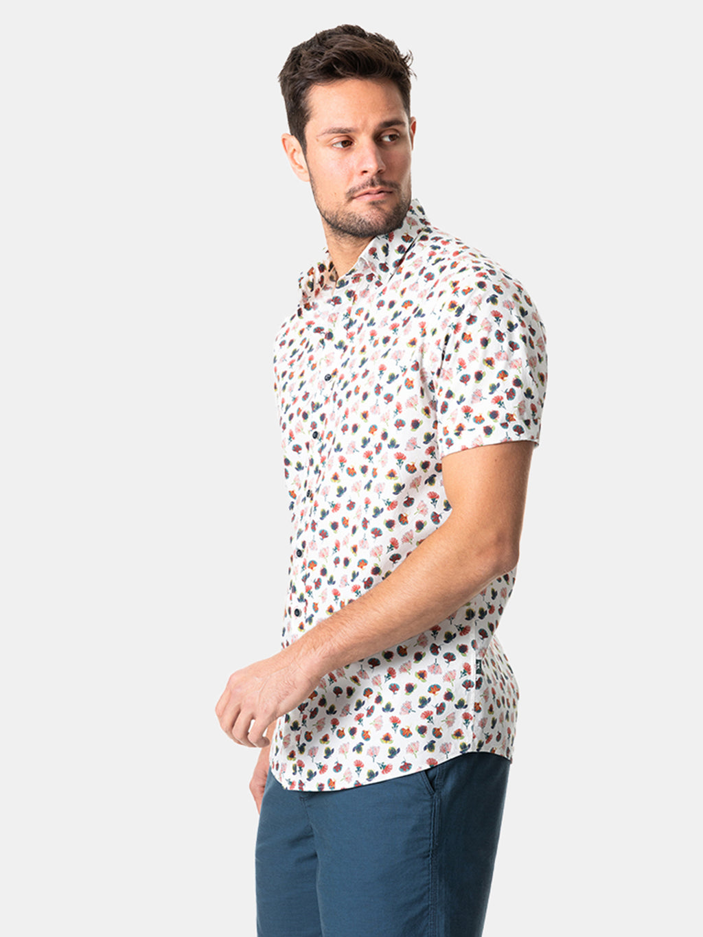 LP5152xBotanical-alt1