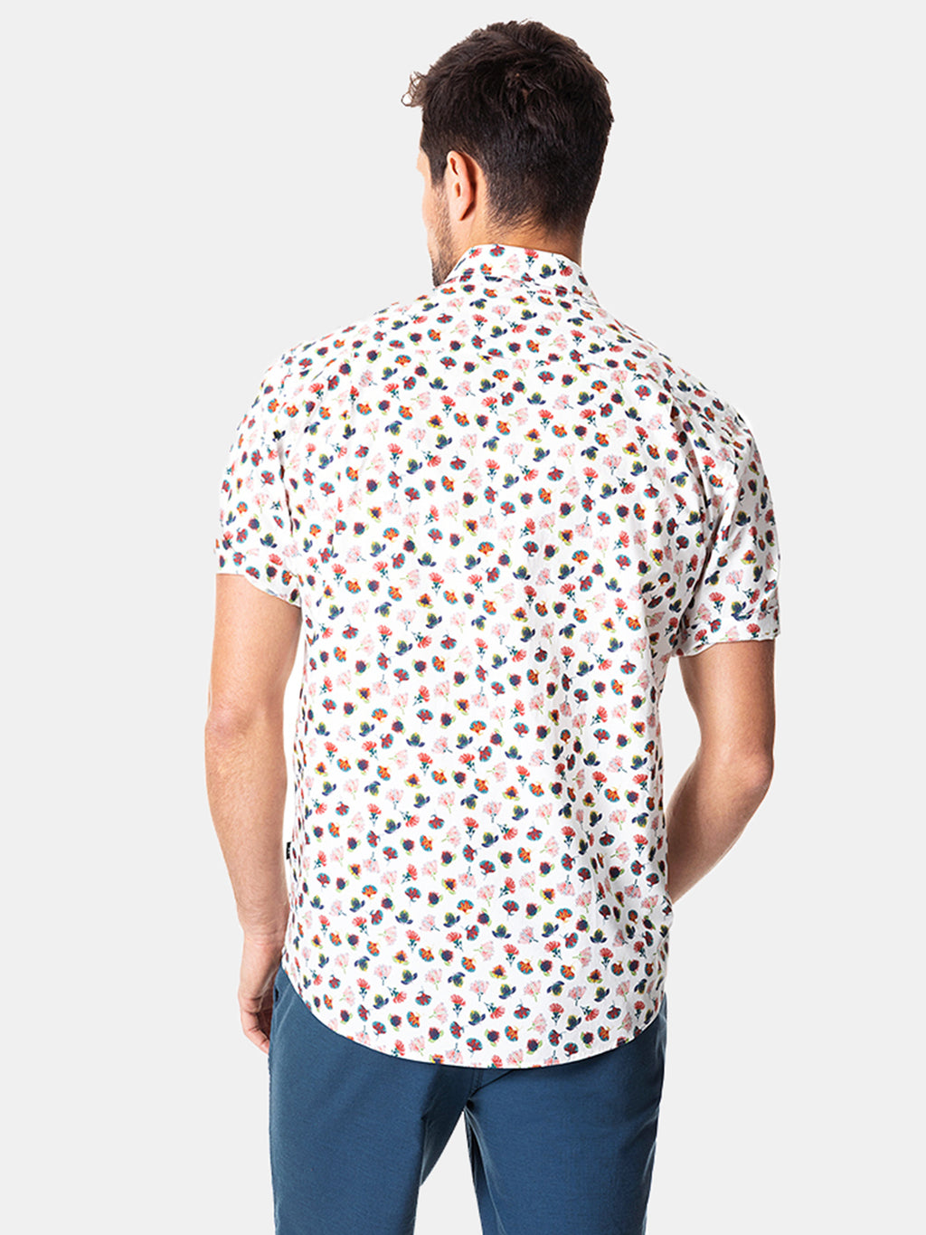 LP5152xBotanical-alt2