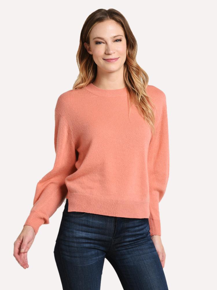 Brochu Walker Deslain Crew - Saint Bernard