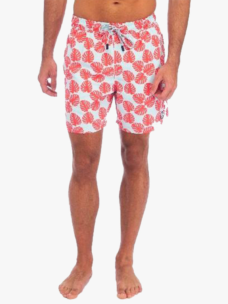 Tom & Teddy Men's Leaf Trunk - Saint Bernard