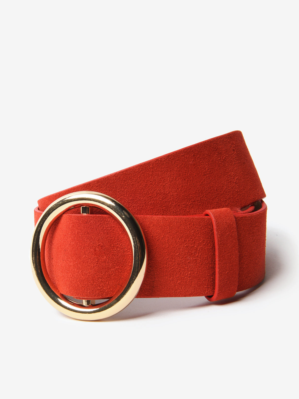 Frame Women's O-Ring Belt - Saint Bernard